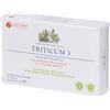 Triticum 3 60 pz Compresse