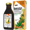 Salus Haus Mangesium Mineral-Drink 250 ml Sciroppo