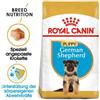 ROYAL CANIN German Shepherd junior 12 kg