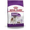 ROYAL CANIN Giant Adult 15 kg