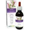 Naturalma Fumaria (Fumaria officinalis) erba con fiori Tintura Madre analcoolica Naturalma - Estratto liquido gocce 120 ml - Integratore alimentare - Vegano