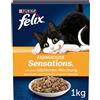 FELIX Farmhouse Sensations - Cibo per gatti secco, con pollo e tacchino, confezione da 1 (1 x 1 kg)