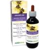 Naturalma Amamelide (Hamamelis virginiana) foglie Tintura Madre analcoolica Naturalma - Estratto liquido gocce 120 ml - Integratore alimentare - Vegano
