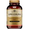 SOLGAR IT. MULTINUTRIENT SpA LIPO COLINA 100 CAPSULE VEGETALI