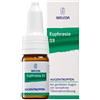 WELEDA ITALIA SRL EUPHRASIA D3 10ML COLL