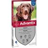 Advantix cane 4 pipette 25-40 KG