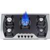 czyuRachel Piano Cottura A Gas A 5 Zone, Superiore Bruciatore Cucina A 5 Fiamme, Acciaio Inox Fornello A Gas Integrato Per Casa E Camper
