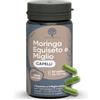 RedMoringa Integratore Biotina Capelli con Moringa, Equiseto, Miglio, Zinco, Cistina, Metionina | Hair Vitamins MIX UNICO | Integratore Anticaduta Capelli Donna e Uomo | 60 Capsule Made in Italy | RedMoringa