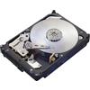 Seagate Constellation ES.3 1TB 3.5 1000 GB SAS - Dischi rigidi (3.5, 1000 GB, 7200 TR/Min)