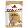 ROYAL CANIN POODLE ADULT UMIDO CANE GR. 85