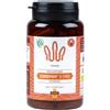 MycoMedica Estratto di cordyceps in capsule - Cordyvit K pro - bio