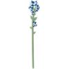 VESTA Fiore Nontiscordardime Grande Celeste Funny Flower