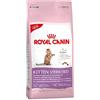 Royal Canin Kitten Sterilised | 400 g | Alimento completo per gatti | Specifico per gatti sterilizzati in crescita da 6 a 12 mesi di età