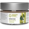 Bioteko Scrub Viso Esfoliante 100 ml - Purificante per Pelle Mista e Grassa