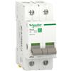Schneider Interruttore sezionatore 2P 40A Resi9 - R9PS240