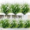 ASTNIC 6 fiori artificiali di lavanda per interni ed esterni, resistenti ai raggi UV decorativi in plastica, floreali finti per casa, giardino finestre scatole casa centrotavola decorazioni (bianco)