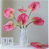 Rikyo 5 fiori artificiali di giglio di Anthurium da 61 cm, permanenti, per la decorazione della casa, bouquet e foglie verdi, per la casa, matrimoni, festival, feste, piccoli bouquet di fiori (rosa)