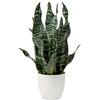 Hollyone, pianta artificiale di serpente da 42 cm in vaso bianco, pianta finta in vaso per tavolo, verde artificiale Sansevieria per decorazione casa, cucina, bagno, soggiorno, decorazioni per ripiano