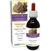 Naturalma Poliporo umbellato (Polyporus umbellatus o Grifola umbellata) fungo Tintura Madre analcoolica Naturalma - Estratto liquido gocce 120 ml - Integratore alimentare - Vegano