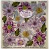 Pellicola Modellabile Clematis Serie 3/13A Doppia