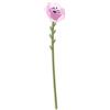 VESTA Fiore Petunia Grande Viola Funny Flowers