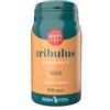 ERBA VITA GROUP SPA TRIBULUS 60CPS EBV