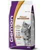 Gemon Cat Adult Pollo E Tacchino Cibo Secco Per Gatti Adulti Sacco 2kg