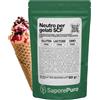 SaporePuro NEUTRO STABILIZZANTE per Gelati e Sorbetti 50 gr - 250 gr - 500 gr - 1000 gr con gomma di tara e gomma di guar