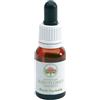 BUSH BIOTHERAPIES Pty Ltd Bush fuchsia gocce 15 ml - - 900622224