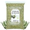 EPEL Foglie di Olivo Tritate 800 gr - Olivo Tisane - Tè Naturale di Foglie di Olivo - Salute e Proprietà Naturali - Infuso di Erbe (800 gr)