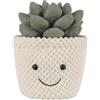 Apricot Lamb Pianta di peluche per piante grasse Echeveria, giocattolo per bambole, 20 cm, per bambini e bambini, morbido e lavabile