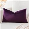 Artscope Federe Cuscini in Velluto Minimalista Copricuscino Colorato per la Decorazione Domestica Soggiorno Camera da Letto Divano 40x60cm, Viola