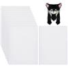 BENECREAT 10 Fogli Fursuit Eye Mesh, 30x22cm Maglia Stampabile Impermeabile Bianco Rete Antipolvere PVC per Cosplay Furries, Sculture, Fursuits, Produzione Artigianale