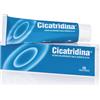 FARMA-DERMA Srl CICATRIDINA POMATA 60G