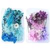 Gfamous 2 Scatola Fiori Secchi Naturali, Fiori Secchi Per Resina, Fiori Secchi Veri,Fiori Secchi Per Resina Candele Fai Da Te Scrapbooking Casa Decorazione Album Segnalibri Nail Art (Blu & Viola)