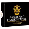 Land of Punt Frankincense LOP Resina di incenso all'incenso, ordinati per qualità, grandi pezzi di lacrime di gomma, meraviglioso aroma, alta frequenza di vibrazione, consacra spazio personale, meditazione, yoga, sollievo