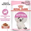 ROYAL CANIN Kitten Bocconcini in salsa 85 g x 12
