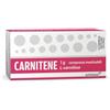 ALFASIGMA Sigma Tau Carnitene 1g L-carnitina 10 Compresse Masticabili