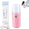 XIBHDN Easy Care Sunshine 15s Heat up Mini Travel Steamer, Portable Steamer Travel, Easy Care Sunshine Steamer for Garments, Fabric Steam Iron for Home and Travel (Pink)