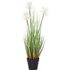 Flair Flower Protea in Vaso di Erba Artificiale, Erba Artificiale, pianta Verde; Erba Decorativa, pianta Artificiale, pianta Verde; Erba Decorativa, Bianco, 54 cm