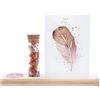 BloomPost BloomMemory Candle - Regalo Set originale via Cassetta postale - Ispirato dalla natura