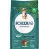 Forza10 Maintenance Medium Adult al Cervo con Patate - 12 Kg Croccantini per cani