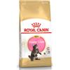 Royal Canin Maine Coon Kitten da 2 Kg