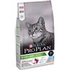 4883 Purina Pro Plan Sterilised Optisavour Adult Gatto Crocchette Merluzzo E Trota Sacco 1,5kg 4883 4883