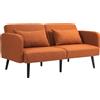 HOMCOM Divano Letto 2 Posti con Braccioli e Schienale Regolabili e 2 Cuscini, Divano Letto Clic Clac, 170x83x80 cm, Marrone e color Legno|Aosom
