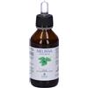 PromoPharma Melissa Soluzione Idroalcolica Gocce 100 ml orali