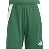 adidas Pantaloncini Tiro 24 - Uomo