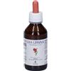 Promopharma SpA PromoPharma Uva Ursina Soluzione Idroalcolica Gocce 100 ml orali