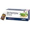 ZETA FARMACEUTICI SpA ZETATON GINSENG 12 FLACONCINI 10ML