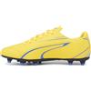 PUMA TEAMSPORT Puma Vitoria FG/AG